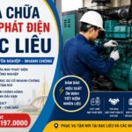 Sửa Chữa Máy Phát Điện Bạc Liêu Uy Tín, Đại Tu, Thay Thế Linh Kiện Chính Hãng